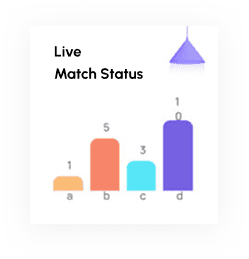 Cricket Statistics