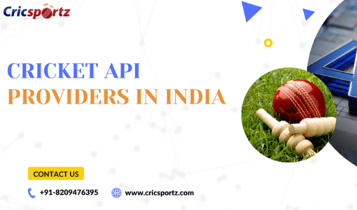 Best Cricket Api Providers In India For Real-Time Scores And Cricket Data Integration